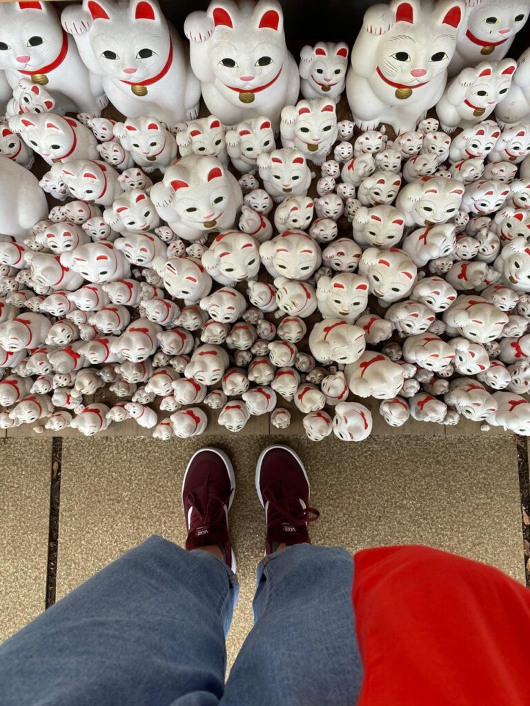 whatsapp image 2026 03 18 at 09.20.17 (2)