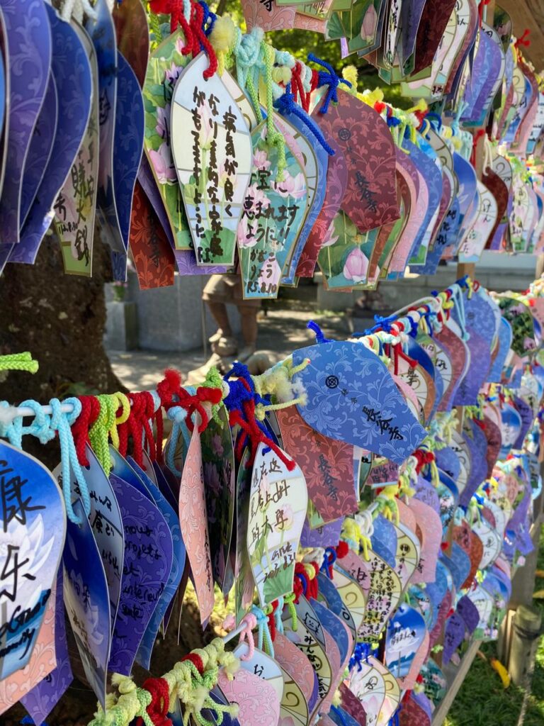 whatsapp image 2026 03 18 at 09.20.18 (3)