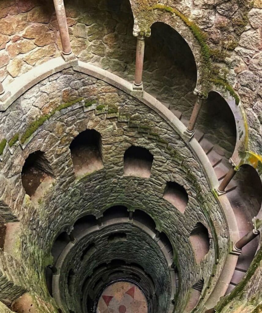 whatsapp image 2026 03 20 at 11.07.18 (3)